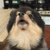 (Category: ) located in . Submitted by thea_pasa.bento.ig (Listing ID 1465905167, Image 1). Description: .