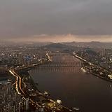 (Category: ) located in . Submitted by bibimbap_no.1 (Listing ID 1451916114, Image 1). Description: .