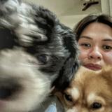 (Category: ) located in . Submitted by marizfulo (Listing ID 1461195191, Image 1). Description: .