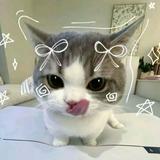 (Category: ) located in . Submitted by meiyi_crystal (Listing ID 1452183575, Image 1). Description: .