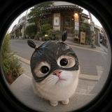 頭像