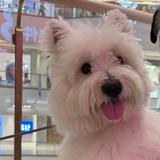 (分類:)位於 。 由 reknabeht 提交(商品編號 1453563547,圖片 1)。簡介: 。