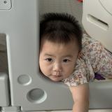 (分類:)位於 。 由 terrancekwonghc 提交(商品編號 1466416821,圖片 1)。簡介: 。