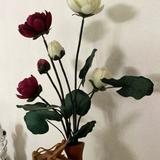 (Category: ) located in . Submitted by lsooi (Listing ID 1453633677, Image 1). Description: .