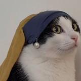 (分類:)位於 。 由 catman2026 提交(商品編號 1452571732,圖片 1)。簡介: 。