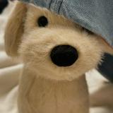 (Category: ) located in . Submitted by wunderlabbit (Listing ID 1452936215, Image 1). Description: .