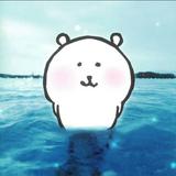 (分類:)位於 。 由 abcdhogapsi123 提交(商品編號 1457801807,圖片 1)。簡介: 。