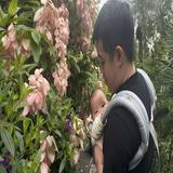 (Category: ) located in . Submitted by barnw (Listing ID 1453067949, Image 1). Description: .