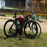 (分類:)位於 。 由 jeft180 提交(商品編號 1454120703,圖片 1)。簡介: 。