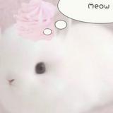 (Category: ) located in . Submitted by pelletw (Listing ID 1453082219, Image 1). Description: .