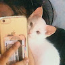 (Category: ) located in . Submitted by hachiiiibanana (Listing ID 1453122232, Image 1). Description: .
