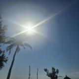 (分類:)位於 。 由 sunshinetrees 提交(商品編號 1454890634,圖片 1)。簡介: 。