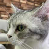 (分類:)位於 。 由 aliyaw 提交(商品編號 1441003298,圖片 1)。簡介: 。