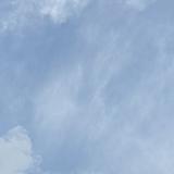 (Category: ) located in . Submitted by feattherra08 (Listing ID 1453338269, Image 1). Description: .