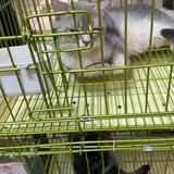 (分類:)位於 。 由 wonggary11 提交(商品編號 1454214942,圖片 1)。簡介: 。