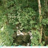 (Category: ) located in . Submitted by muqrihanif (Listing ID 1452618314, Image 1). Description: .