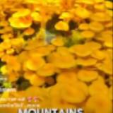 (Category: ) located in . Submitted by livemountain.6731ce (Listing ID 1351477733, Image 1). Description: .
