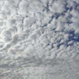 (Category: ) located in . Submitted by qibbydaud (Listing ID 1453669700, Image 1). Description: .