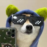 (分類:)位於 。 由 swift_dawg 提交(商品編號 1453760802,圖片 1)。簡介: 。