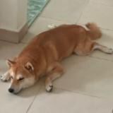 (Category: ) located in . Submitted by hapyfish.915 (Listing ID 1453871344, Image 1). Description: .