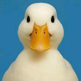 (分類:)位於 。 由 colin7788 提交(商品編號 1453856064,圖片 1)。簡介: 。