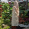 (Category: ) located in . Submitted by sya_sha_ (Listing ID 1453824165, Image 1). Description: .