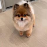 (Category: ) located in . Submitted by oddfire_ee793d (Listing ID 1454139691, Image 1). Description: .