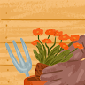 (Category: ) located in . Submitted by jejifer0727 (Listing ID 1454110774, Image 1). Description: .