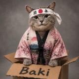 (Category: ) located in . Submitted by bakisbox (Listing ID 1465108010, Image 1). Description: .