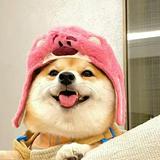 由 coolcc. (刊登 ID 1454227465,圖片 1) 提交,位於 的 (類別:),說明:。