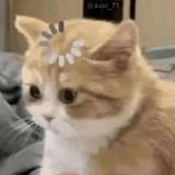 (Category: ) located in . Submitted by clutter_sie (Listing ID 1463581801, Image 1). Description: .