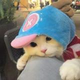 (分類:)位於 。 由 mahalia.kerluke 提交(商品編號 1454756708,圖片 1)。簡介: 。