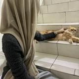 (Category: ) located in . Submitted by qiiiiie (Listing ID 1454377768, Image 1). Description: .