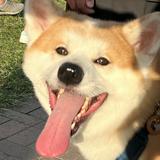 (分類:)位於 。 由 tsunaami 提交(商品編號 1455070983,圖片 1)。簡介: 。