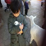 (分類:)位於 。 由 tszching_0320 提交(商品編號 1455485940,圖片 1)。簡介: 。