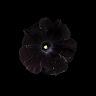 (Category: ) located in . Submitted by crystlrn (Listing ID 1461207318, Image 1). Description: .