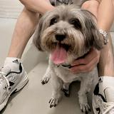 (Category: ) located in . Submitted by mickey_is_my_dog (Listing ID 1454866106, Image 1). Description: .