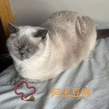 (分類:)位於 。 由 dddannieee 提交(商品編號 1462300659,圖片 1)。簡介: 。