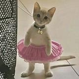 (Category: ) located in . Submitted by another.wear (Listing ID 1455031963, Image 1). Description: .