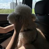 (Category: ) located in . Submitted by wonkwonkie (Listing ID 1455137333, Image 1). Description: .