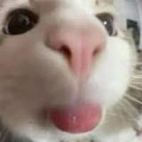 (分類:)位於 。 由 fuck_it 提交(商品編號 1448268933,圖片 1)。簡介: 。