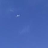 (分類:)位於 。 由 zeal.lulu__ 提交(商品編號 1465804129,圖片 1)。簡介: 。
