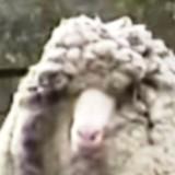 (分類:)位於 。 由 kingdom_gd 提交(商品編號 1455612717,圖片 1)。簡介: 。