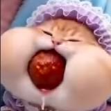 頭像