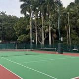 (分類:)位於 。 由 tennisislife 提交(商品編號 1455591450,圖片 1)。簡介: 。