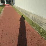 (Category: ) located in . Submitted by shimila (Listing ID 1455546902, Image 1). Description: .