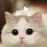 (Category: ) located in . Submitted by bella_yh (Listing ID 1455761852, Image 1). Description: .