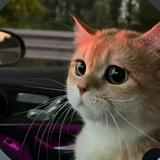 (分類:)位於 。 由 _.bskd23_. 提交(商品編號 1455830256,圖片 1)。簡介: 。
