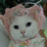 頭像