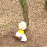 (Category: ) located in . Submitted by rosesforsiewhui (Listing ID 1456191923, Image 1). Description: .
